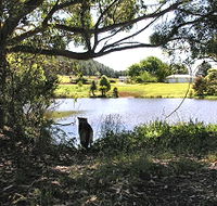 Newry Park Cottage - SA Accommodation