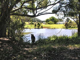Newry Park Cottage - SA Accommodation 0