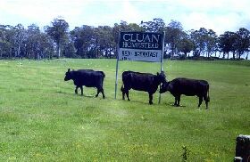 Cluan TAS SA Accommodation