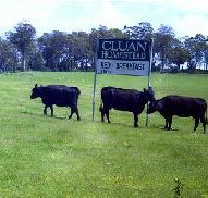 Cluan Homestead - The Managers Residence - SA Accommodation
