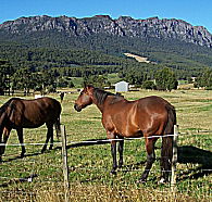 Hurlfield Farm Cottage - SA Accommodation