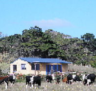 Marrawah Beach House - SA Accommodation