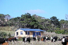 Marrawah Beach House - SA Accommodation 0