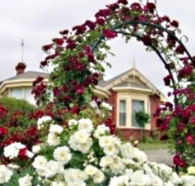 Golden Embers Apartments and B and B - SA Accommodation