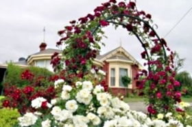 Golden Embers Apartments And B And B - SA Accommodation 0