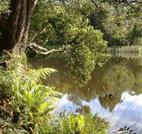 Weldborough Camping Ground - SA Accommodation