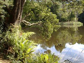 Weldborough Camping Ground - SA Accommodation 0