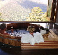 The Lodge at Tarraleah - SA Accommodation