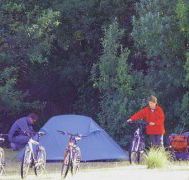 Maria Island Camping Ground - SA Accommodation