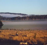 Fonthill - SA Accommodation