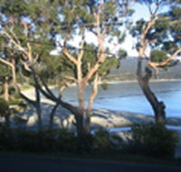 Bruny Island Retreat - SA Accommodation