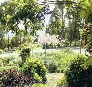 Cherry Park Estate - SA Accommodation
