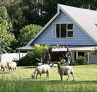 Hide-Away Cottage Retreat - SA Accommodation