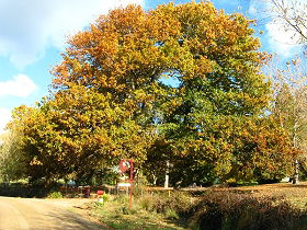 Bellingham TAS SA Accommodation