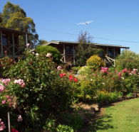 Mole Creek Holiday Village - SA Accommodation