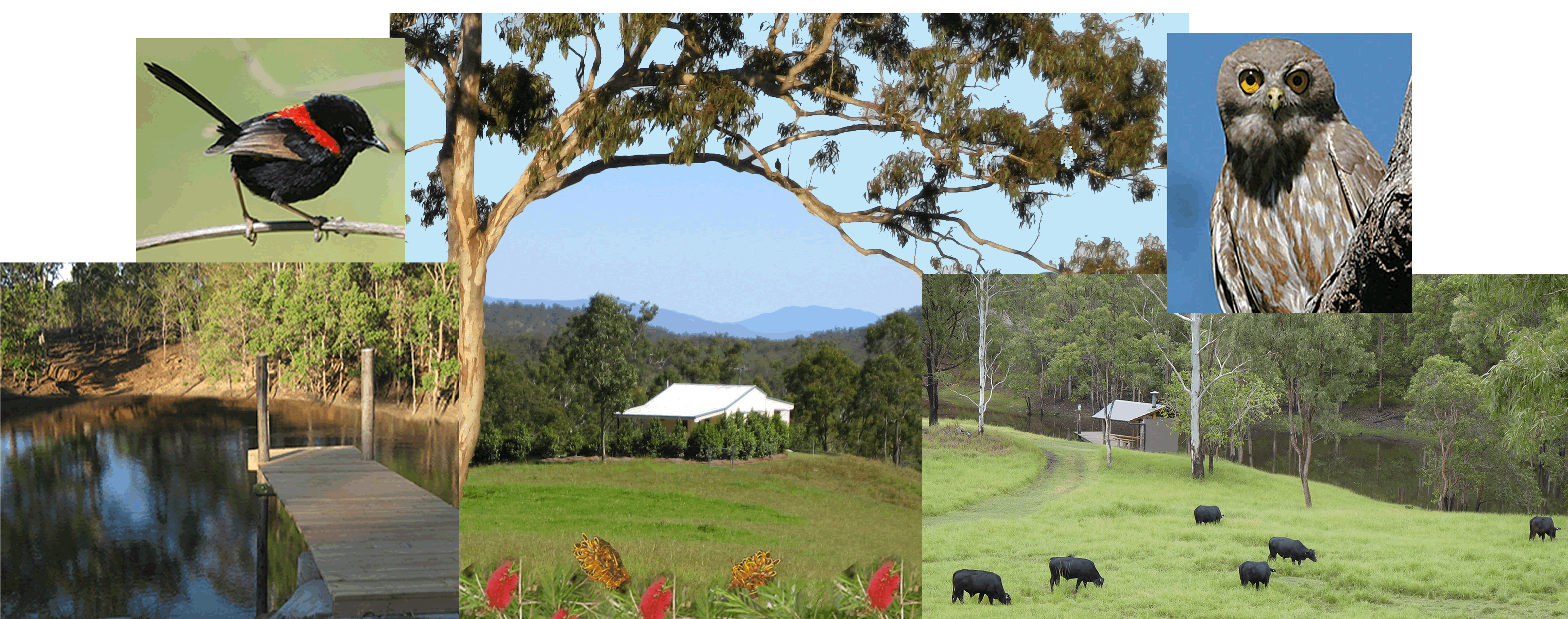 Barking Owl Retreat - SA Accommodation