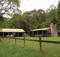 Tree Fern Lodge - SA Accommodation