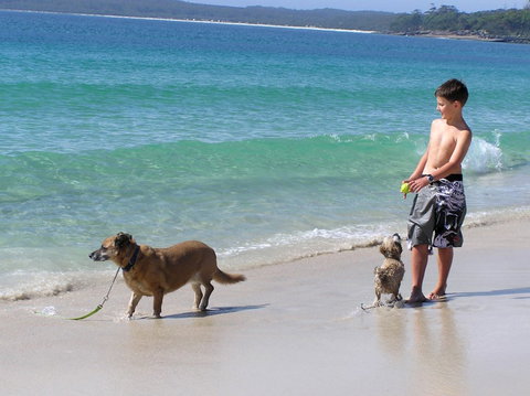 A Paradise Bungalow Waterfront - SA Accommodation 1