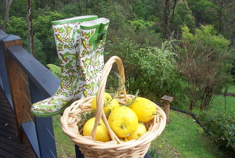 Bellbird Cottage Bed And Breakfast - SA Accommodation 4