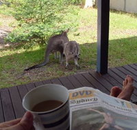 Bush and Bay Cottage - SA Accommodation
