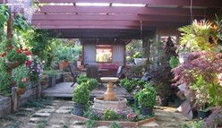 Blossoms Bed And Breakfast - SA Accommodation 0