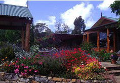 Blossoms Bed And Breakfast - SA Accommodation 2