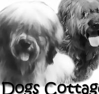 2 Dogs Cottages - SA Accommodation