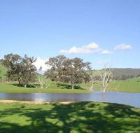 Hillview Farmstay - SA Accommodation
