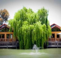 Perricoota Vines Retreat - SA Accommodation