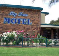 Fig Tree Motel - SA Accommodation