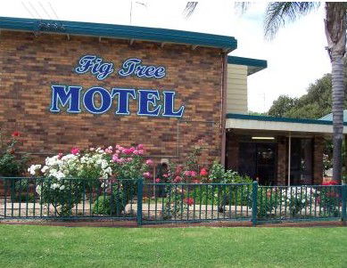 Fig Tree Motel - SA Accommodation 0