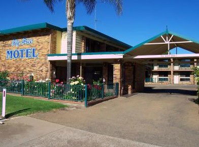 Fig Tree Motel - SA Accommodation 1