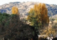 Timbumburi NSW SA Accommodation