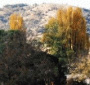 Birches Bed and Breakfast at Nundle - SA Accommodation