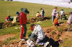 Banderra B And B Farmstay - SA Accommodation 0