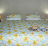 Keswick Island Guest House and Bed and Breakfast - SA Accommodation