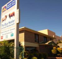 Best Western Cattle City Motor Inn - SA Accommodation