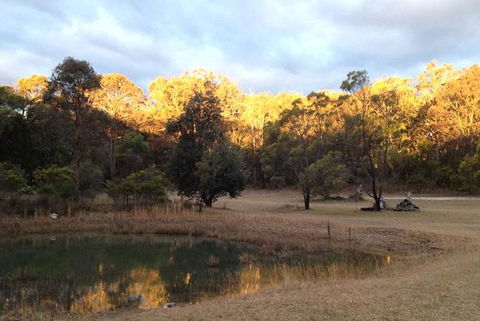 Possums Hollow And Hooters Hut - SA Accommodation 1
