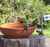 Lamb Island Bed and Breakfast - SA Accommodation