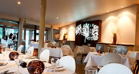 Cedar Creek Lodges At Thunderbird Park - SA Accommodation 4