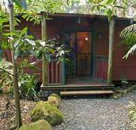 Springbrook Lyrebird Retreat - SA Accommodation