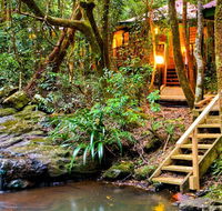 The Mouses House - Rainforest Retreat - SA Accommodation