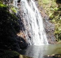 Binna Burra Mountain Lodge - SA Accommodation