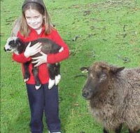 Cinnamon Coloureds Farmstay - SA Accommodation