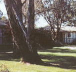 Winbi River Resort - SA Accommodation