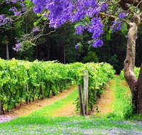 Bago Vineyards - SA Accommodation