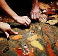 Daintree Eco Lodge And Spa - SA Accommodation