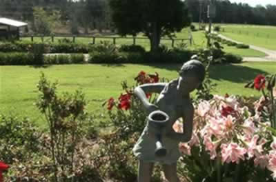 Jacaranda Country Lodge - SA Accommodation 2