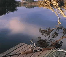 Jacaranda Country Lodge - SA Accommodation 4