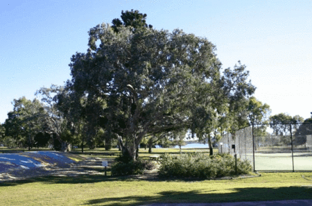 Coolwaters Holiday Village - SA Accommodation 5